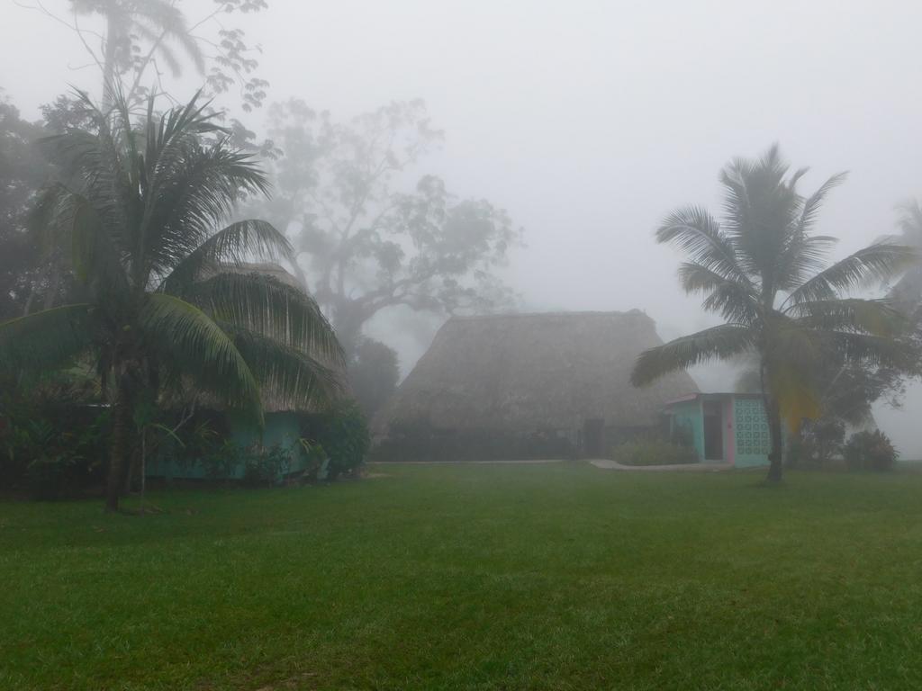 Banana Bank Lodge & Jungle Horseback Adventures Belmopan Luaran gambar