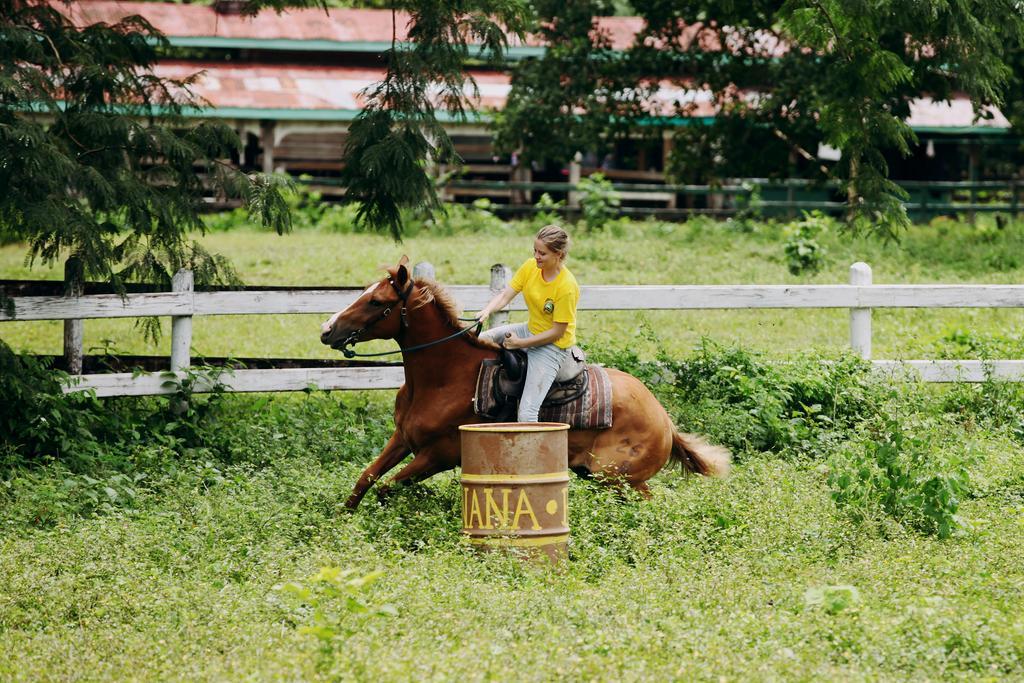 Banana Bank Lodge & Jungle Horseback Adventures Belmopan Luaran gambar