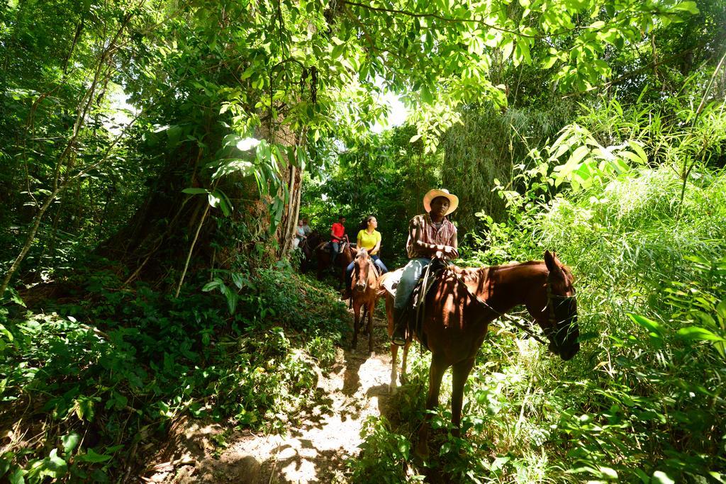 Banana Bank Lodge & Jungle Horseback Adventures Belmopan Luaran gambar