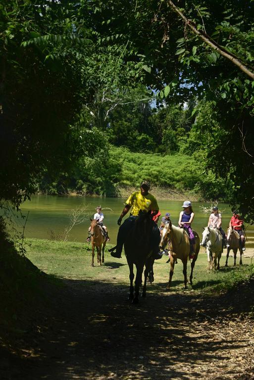 Banana Bank Lodge & Jungle Horseback Adventures Belmopan Luaran gambar