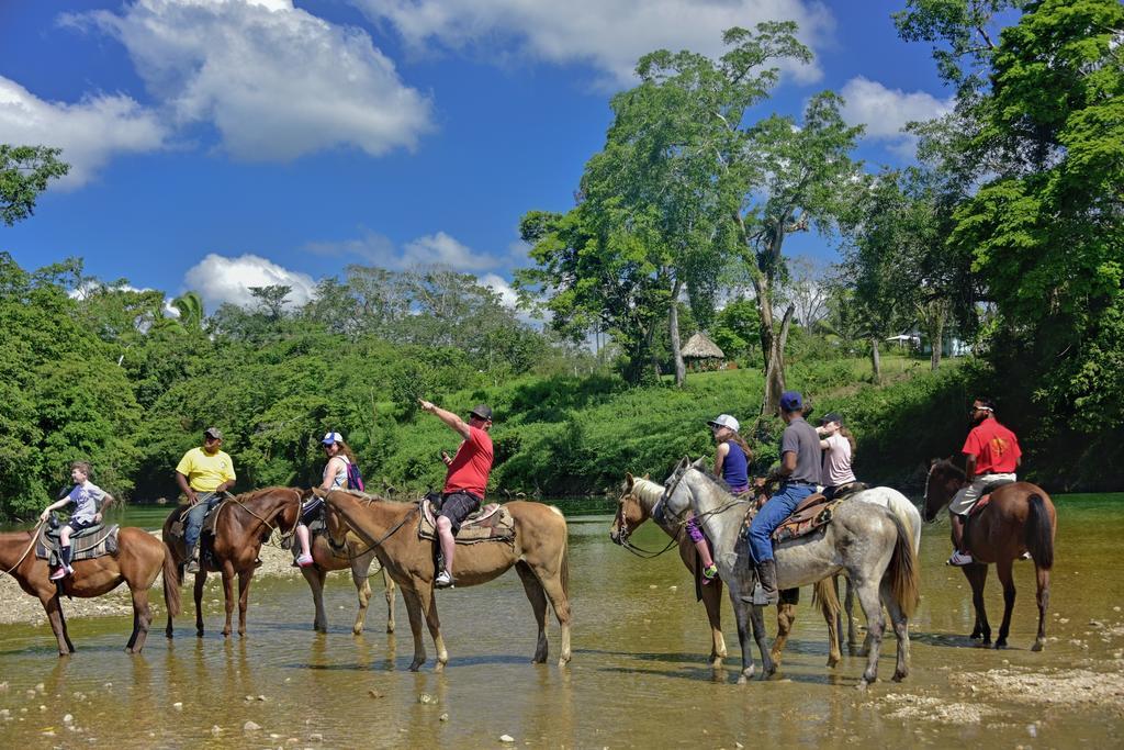 Banana Bank Lodge & Jungle Horseback Adventures Belmopan Luaran gambar