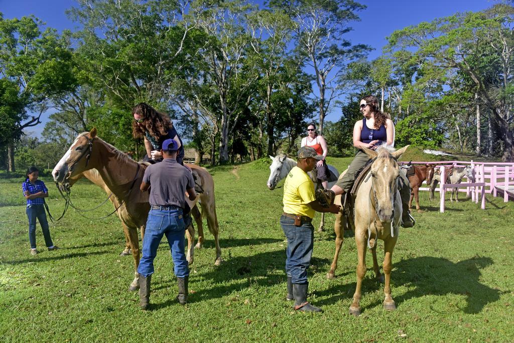 Banana Bank Lodge & Jungle Horseback Adventures Belmopan Luaran gambar