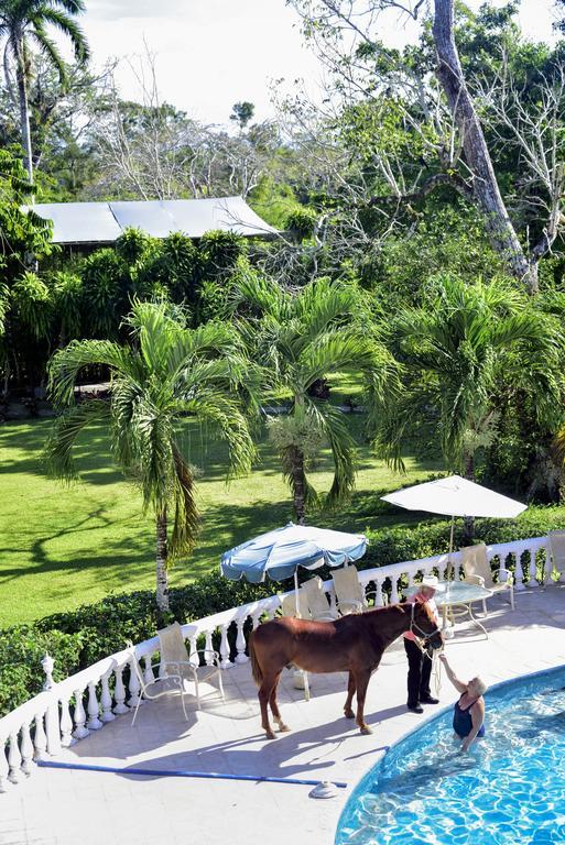 Banana Bank Lodge & Jungle Horseback Adventures Belmopan Luaran gambar